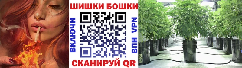 Где купить наркоту Купино Cocaine  Альфа ПВП  Канабис  ГАШИШ 