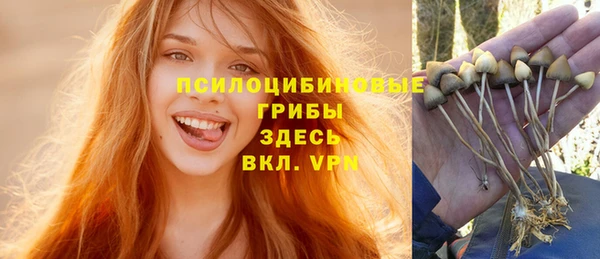 бутират Белокуриха